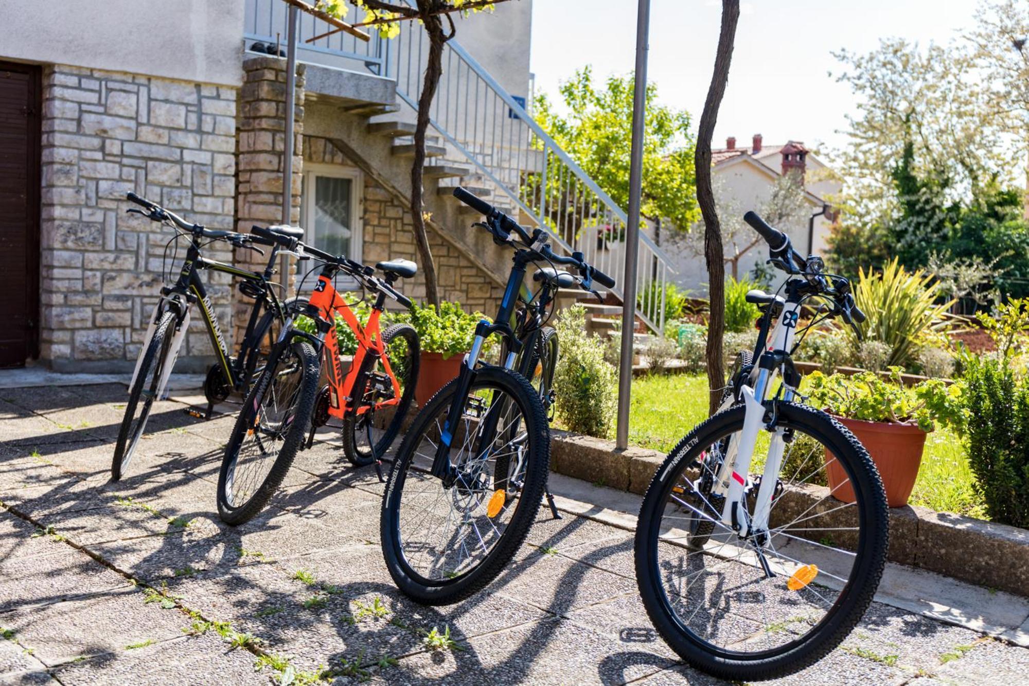 Apartment Tesic Close To The Sea With Shared 4Xbicycles Fažana Buitenkant foto