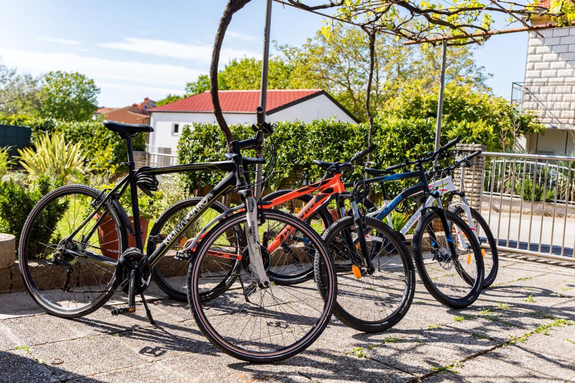 Apartment Tesic Close To The Sea With Shared 4Xbicycles Fažana Buitenkant foto