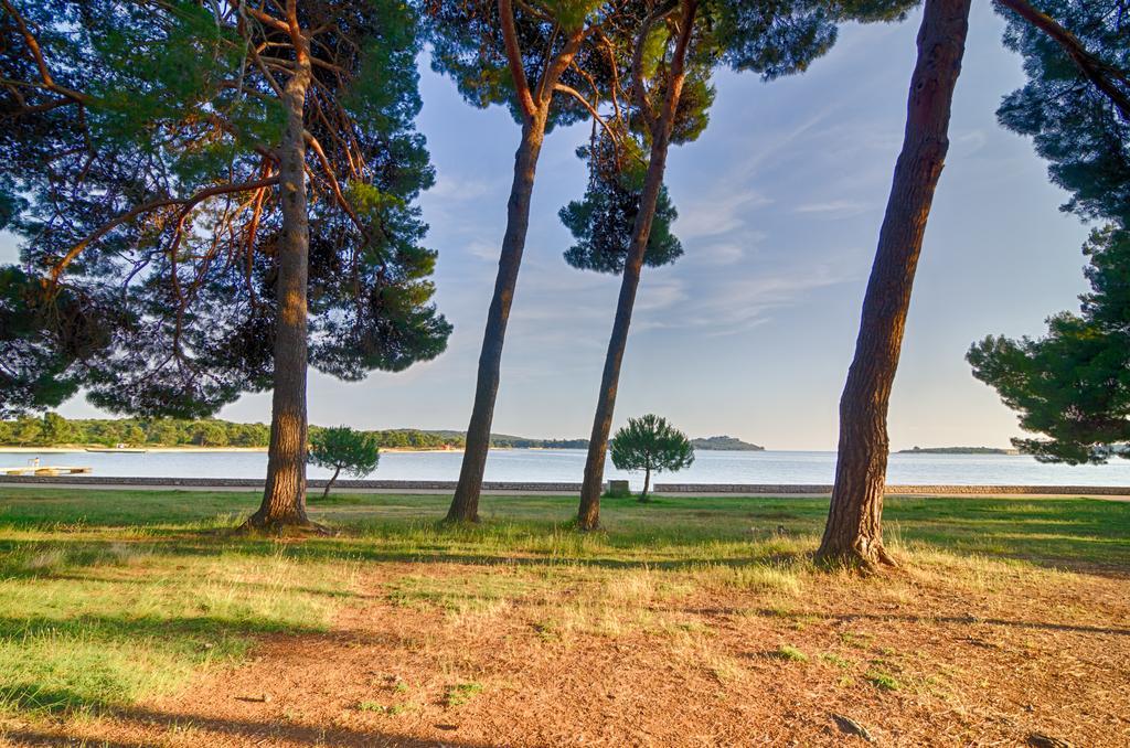 Apartment Tesic Close To The Sea With Shared 4Xbicycles Fažana Buitenkant foto